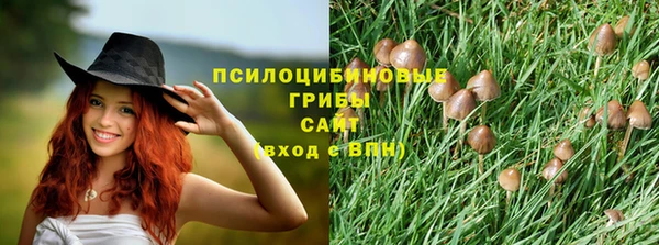 дмт Михайлов