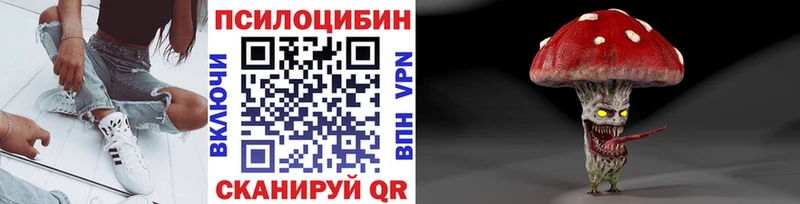 Галлюциногенные грибы Psilocybe Тюмень