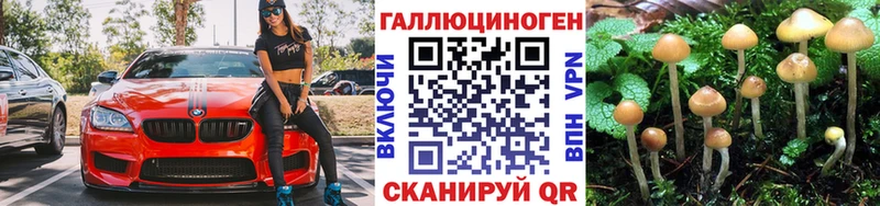 Псилоцибиновые грибы мицелий  Тюмень 