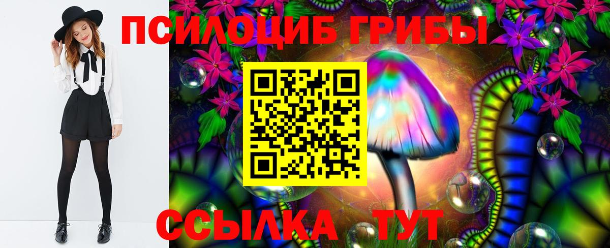 Галлюциногенные грибы Magic Shrooms Тюмень