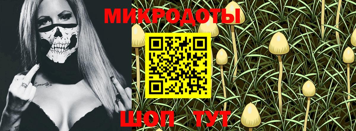Тюмень  Галлюциногенные грибы прущие грибы  Вход с VPN 
